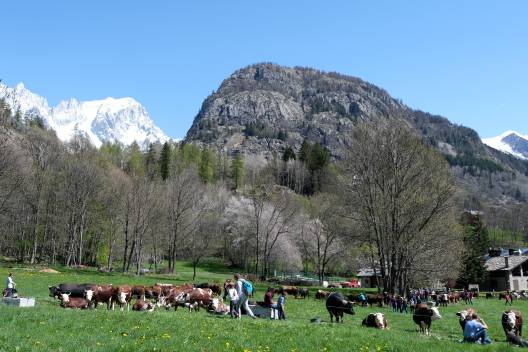 Rassegna Valdigne-Mont Blanc - AREV