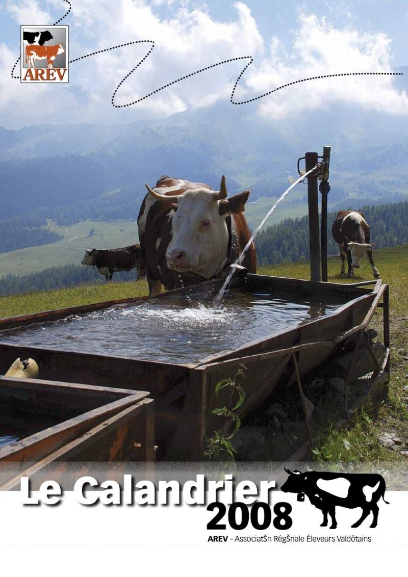 Calendario Arev 2008