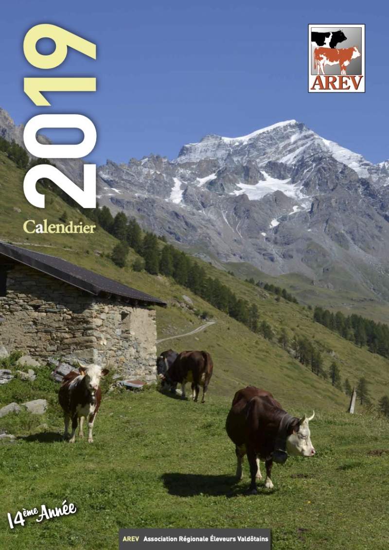 Calendario Arev 2019